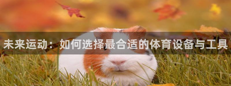 意昂体育4平台假的吗是真的吗吗:未来运动:如何选择最合适的体