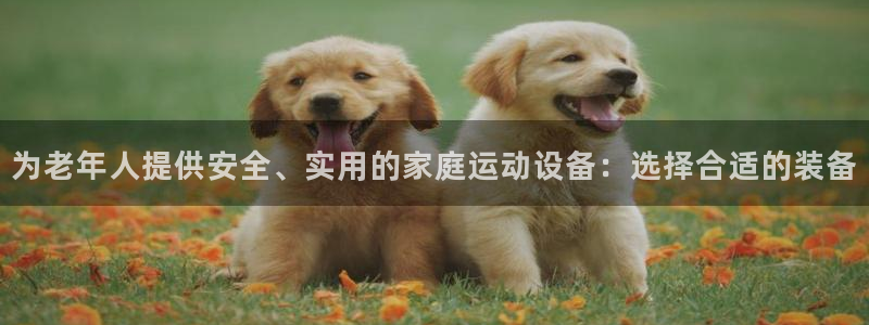 意昂4新能源:为老年人提供安全、实用的家庭运动设备:选择合适