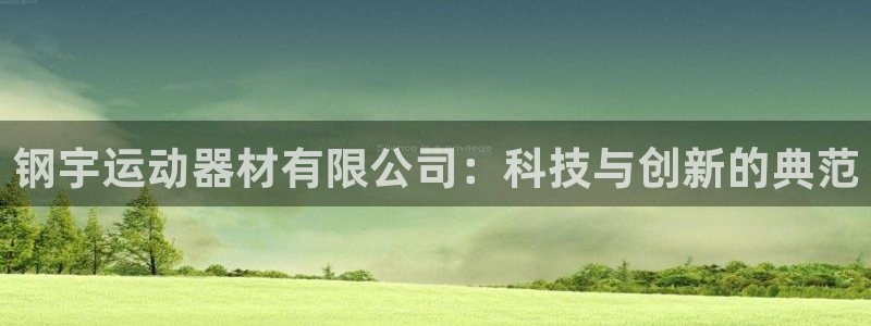 意昂体育4招商电话:钢宇运动器材有限公司:科技与创新的典范